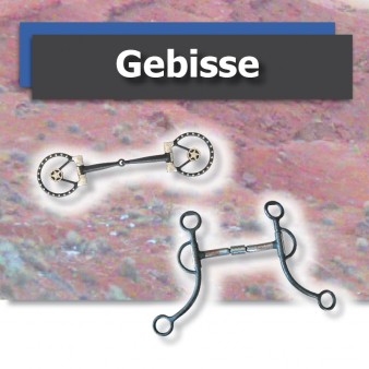 Gebisse