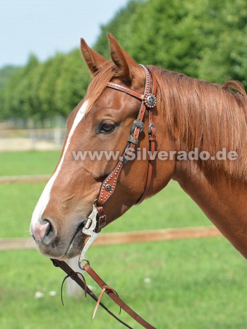 Showtrense mit Conchos und Nickel-Spots