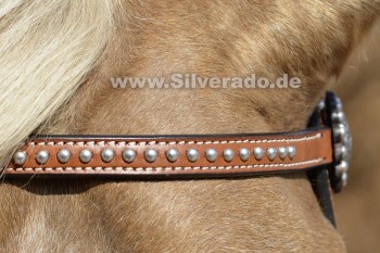 Showtrense mit Conchos und Nickel-Spots - Pony