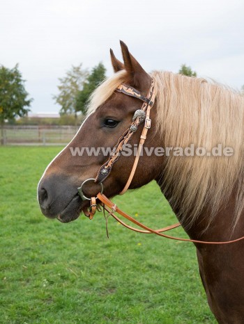 Roswell-Antikoptik Trense - (WB) Warmblut