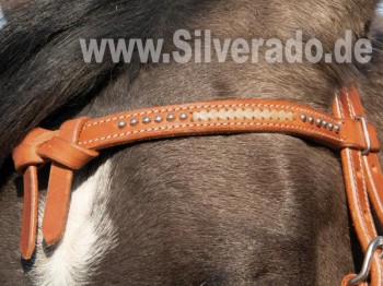 Harness-Leder Trense Murray - (VB) Vollblut