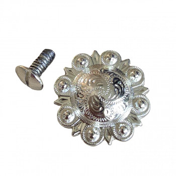 Concha Blume klein