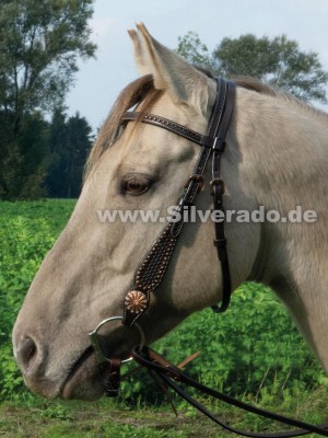 Adkins Kopfstück, mit kupferfarbenen Beschlägen