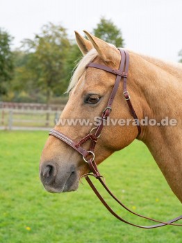 Sidepull - American Latigo, - 2 (VB) Vollblut