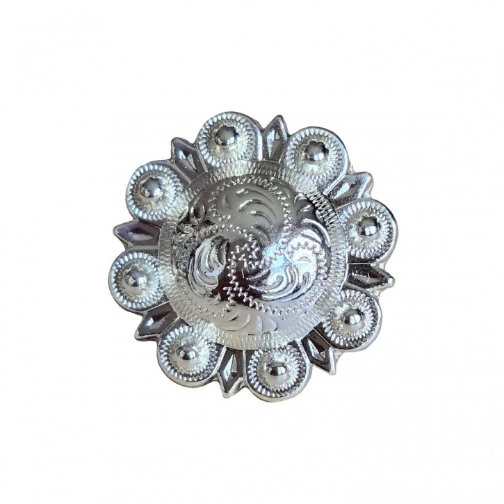 Concha Blume klein